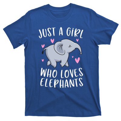 Just A Who Loves Elephants Funny Elephant Funny Gift T-Shirt