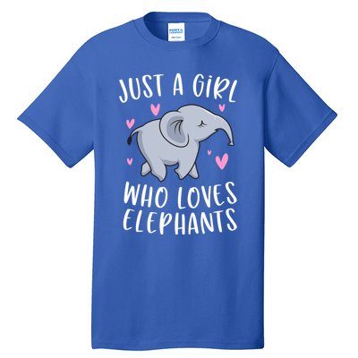 Just A Who Loves Elephants Funny Elephant Funny Gift Tall T-Shirt