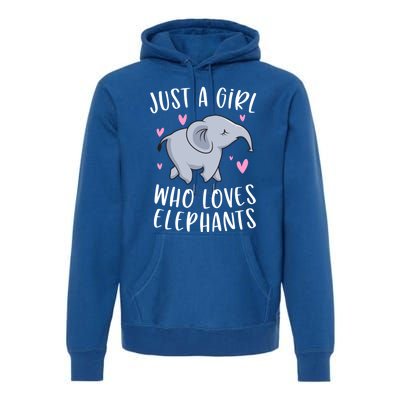 Just A Who Loves Elephants Funny Elephant Funny Gift Premium Hoodie