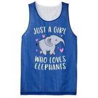 Just A Who Loves Elephants Funny Elephant Funny Gift Mesh Reversible Basketball Jersey Tank