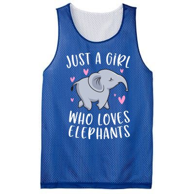 Just A Who Loves Elephants Funny Elephant Funny Gift Mesh Reversible Basketball Jersey Tank