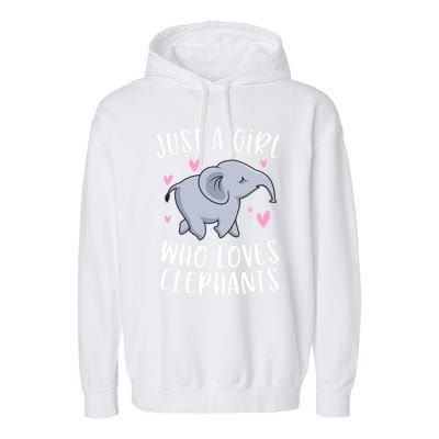 Just A Who Loves Elephants Funny Elephant Funny Gift Garment-Dyed Fleece Hoodie