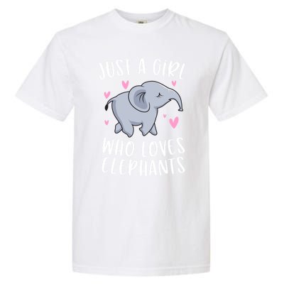 Just A Who Loves Elephants Funny Elephant Funny Gift Garment-Dyed Heavyweight T-Shirt