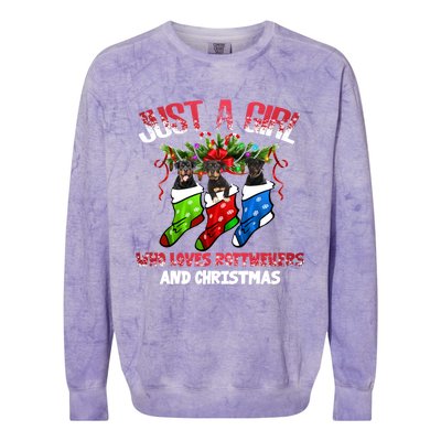 Just A Who Loves Rottweilers And Christmas Costume Gift Colorblast Crewneck Sweatshirt