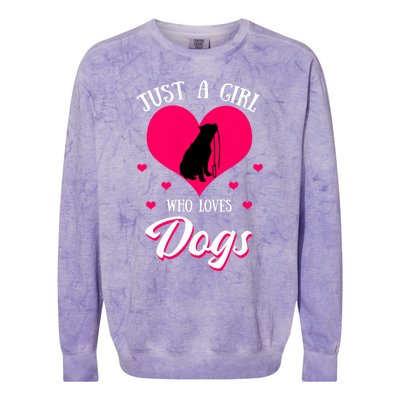 Just A Who Loves Dog Puppy American Pit Bull Terrier Funny Gift Colorblast Crewneck Sweatshirt