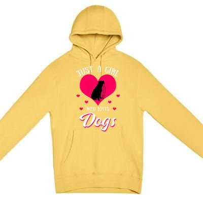 Just A Who Loves Dog Puppy American Pit Bull Terrier Funny Gift Premium Pullover Hoodie