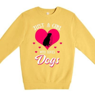 Just A Who Loves Dog Puppy American Pit Bull Terrier Funny Gift Premium Crewneck Sweatshirt