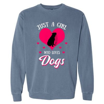 Just A Who Loves Dog Puppy American Pit Bull Terrier Funny Gift Garment-Dyed Sweatshirt