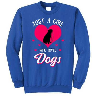 Just A Who Loves Dog Puppy American Pit Bull Terrier Funny Gift Sweatshirt