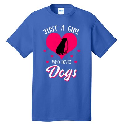 Just A Who Loves Dog Puppy American Pit Bull Terrier Funny Gift Tall T-Shirt