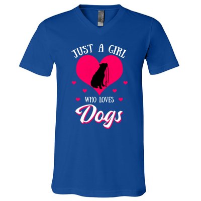 Just A Who Loves Dog Puppy American Pit Bull Terrier Funny Gift V-Neck T-Shirt