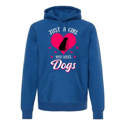 Just A Who Loves Dog Puppy American Pit Bull Terrier Funny Gift Premium Hoodie