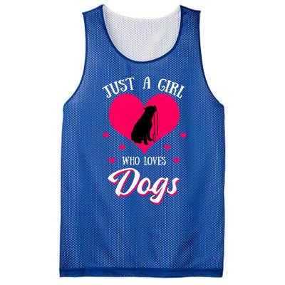 Just A Who Loves Dog Puppy American Pit Bull Terrier Funny Gift Mesh Reversible Basketball Jersey Tank