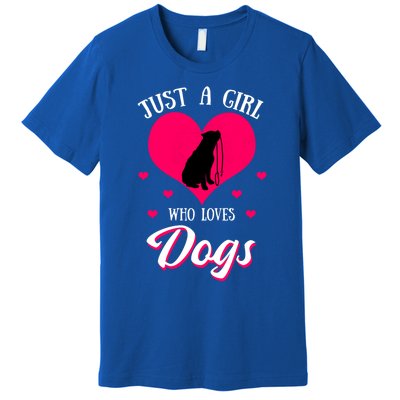 Just A Who Loves Dog Puppy American Pit Bull Terrier Funny Gift Premium T-Shirt