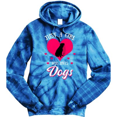 Just A Who Loves Dog Puppy American Pit Bull Terrier Funny Gift Tie Dye Hoodie