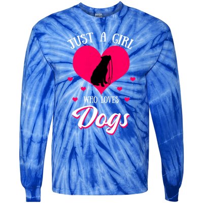 Just A Who Loves Dog Puppy American Pit Bull Terrier Funny Gift Tie-Dye Long Sleeve Shirt