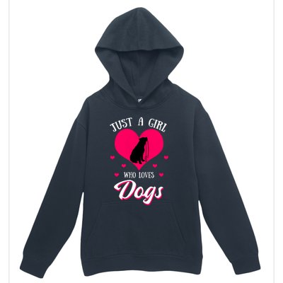 Just A Who Loves Dog Puppy American Pit Bull Terrier Funny Gift Urban Pullover Hoodie