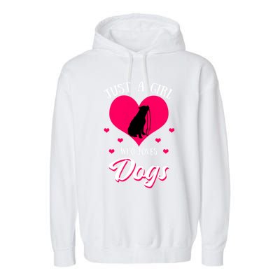 Just A Who Loves Dog Puppy American Pit Bull Terrier Funny Gift Garment-Dyed Fleece Hoodie