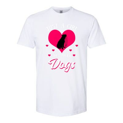 Just A Who Loves Dog Puppy American Pit Bull Terrier Funny Gift Softstyle CVC T-Shirt