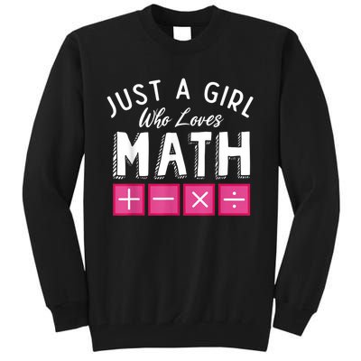 Just A Who Loves Math Algebra Funny Mathematics Tall Sweatshirt