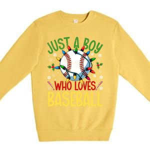 Just A Who Loves Baseball Christmas Lights Snowflakes Gift Premium Crewneck Sweatshirt