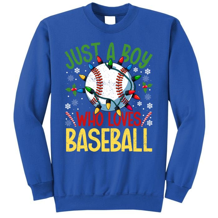 Just A Who Loves Baseball Christmas Lights Snowflakes Gift Sweatshirt