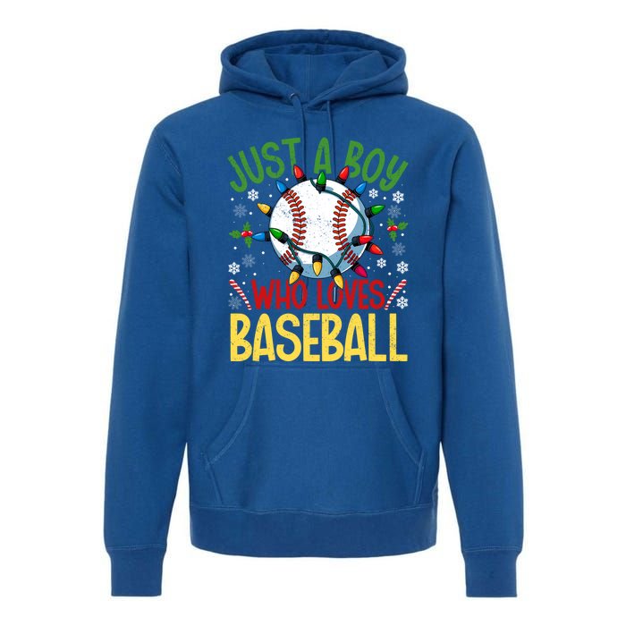 Just A Who Loves Baseball Christmas Lights Snowflakes Gift Premium Hoodie