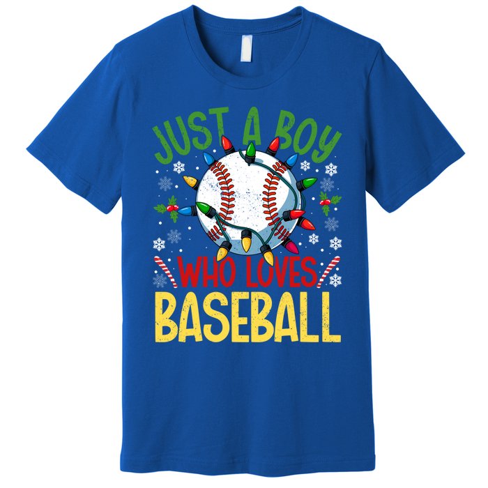 Just A Who Loves Baseball Christmas Lights Snowflakes Gift Premium T-Shirt