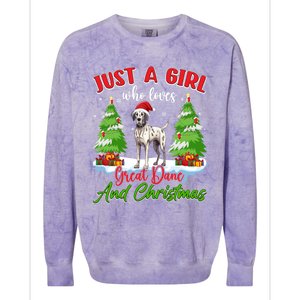 Just A Who Loves Great Dane And Christmas Santa Hat Gift Colorblast Crewneck Sweatshirt