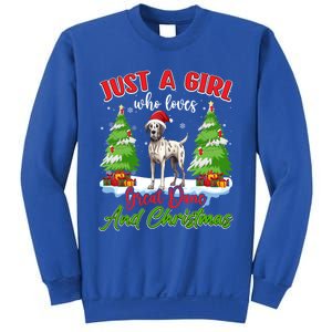 Just A Who Loves Great Dane And Christmas Santa Hat Gift Sweatshirt