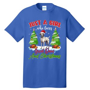 Just A Who Loves Great Dane And Christmas Santa Hat Gift Tall T-Shirt