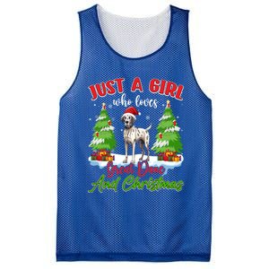 Just A Who Loves Great Dane And Christmas Santa Hat Gift Mesh Reversible Basketball Jersey Tank