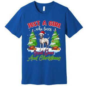 Just A Who Loves Great Dane And Christmas Santa Hat Gift Premium T-Shirt