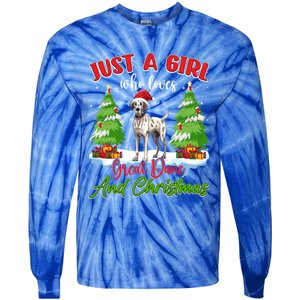 Just A Who Loves Great Dane And Christmas Santa Hat Gift Tie-Dye Long Sleeve Shirt