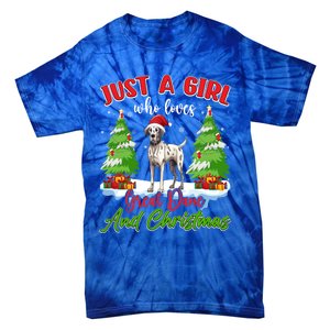 Just A Who Loves Great Dane And Christmas Santa Hat Gift Tie-Dye T-Shirt