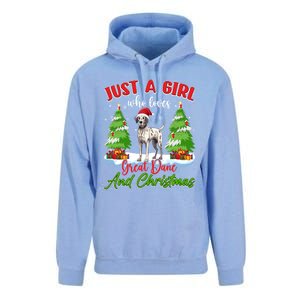 Just A Who Loves Great Dane And Christmas Santa Hat Gift Unisex Surf Hoodie