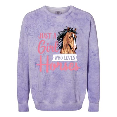 Just A Who Loves Horses Cute Horseback Riding Lesson Gift Colorblast Crewneck Sweatshirt