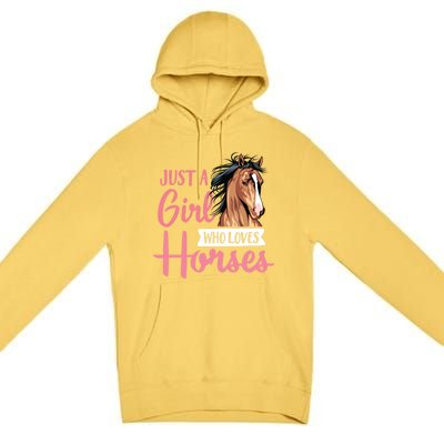 Just A Who Loves Horses Cute Horseback Riding Lesson Gift Premium Pullover Hoodie