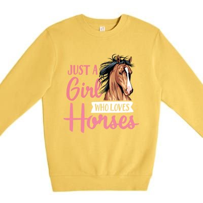 Just A Who Loves Horses Cute Horseback Riding Lesson Gift Premium Crewneck Sweatshirt