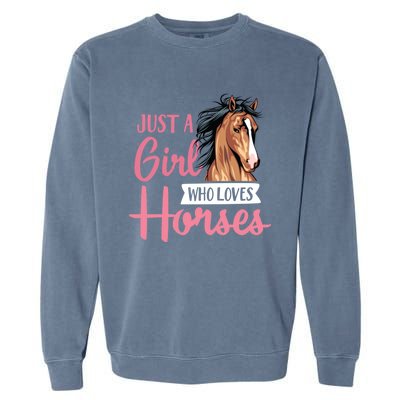 Just A Who Loves Horses Cute Horseback Riding Lesson Gift Garment-Dyed Sweatshirt