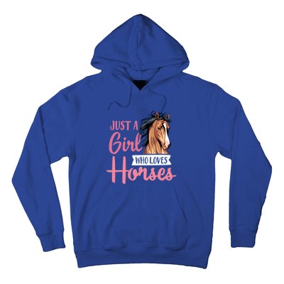 Just A Who Loves Horses Cute Horseback Riding Lesson Gift Hoodie