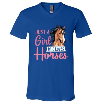 Just A Who Loves Horses Cute Horseback Riding Lesson Gift V-Neck T-Shirt