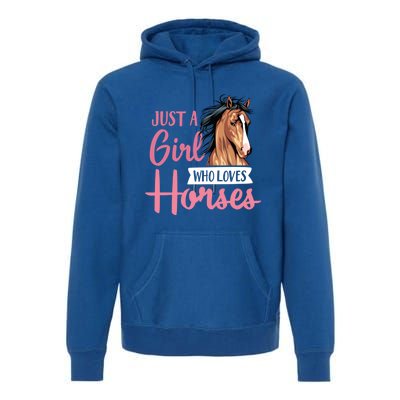 Just A Who Loves Horses Cute Horseback Riding Lesson Gift Premium Hoodie