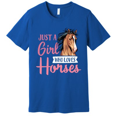 Just A Who Loves Horses Cute Horseback Riding Lesson Gift Premium T-Shirt