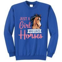 Just A Who Loves Horses Cute Horseback Riding Lesson Gift Tall Sweatshirt