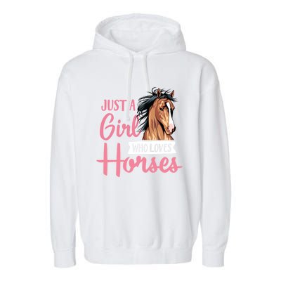 Just A Who Loves Horses Cute Horseback Riding Lesson Gift Garment-Dyed Fleece Hoodie