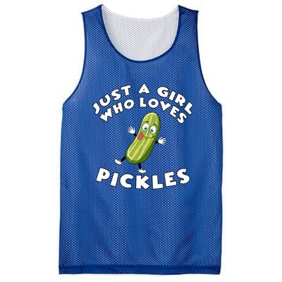 Just A Who Loves Pickles Cool Gift Pickle Lover's Gift Mesh Reversible Basketball Jersey Tank