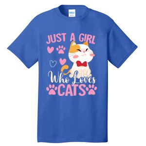 Just A Who Loves Cats Gift Cute Cat Lover Great Gift Tall T-Shirt