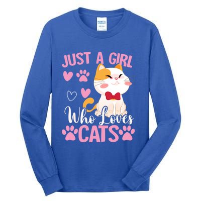 Just A Who Loves Cats Gift Cute Cat Lover Great Gift Tall Long Sleeve T-Shirt