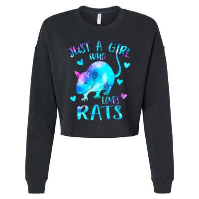 Just A Who Loves Rats Cute Rat Lover Galaxy Theme Gift Cropped Pullover Crew